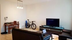 Amaryllis Ville (D11), Condominium #578638631